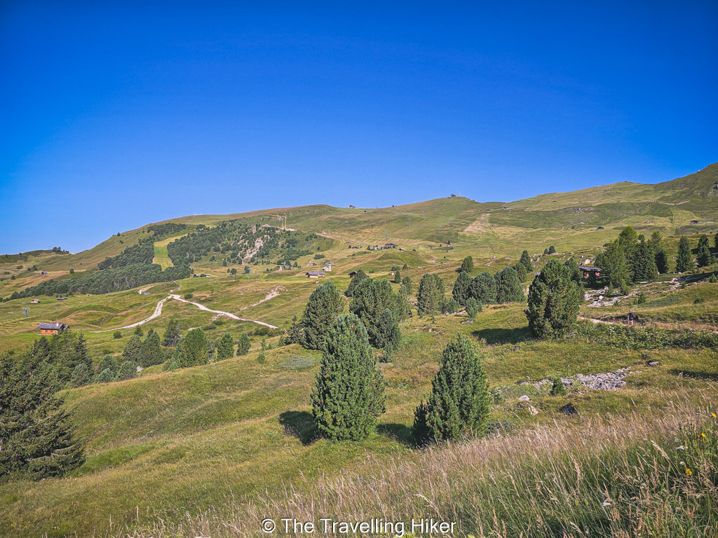 Seceda Meadows