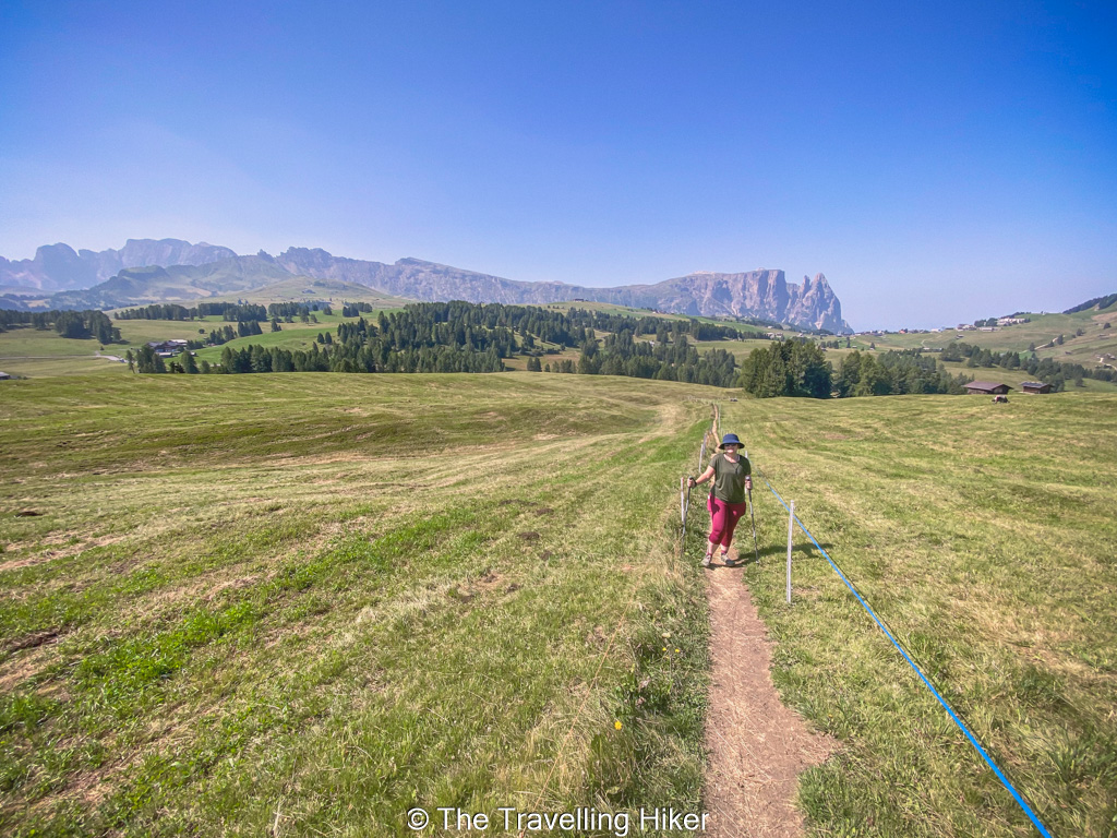 Alpe di Siusi Guide