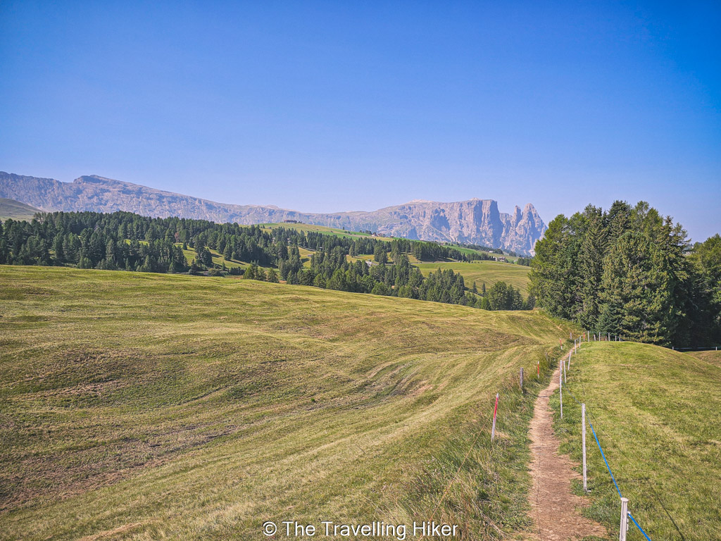 Alpe di Siusi Guide