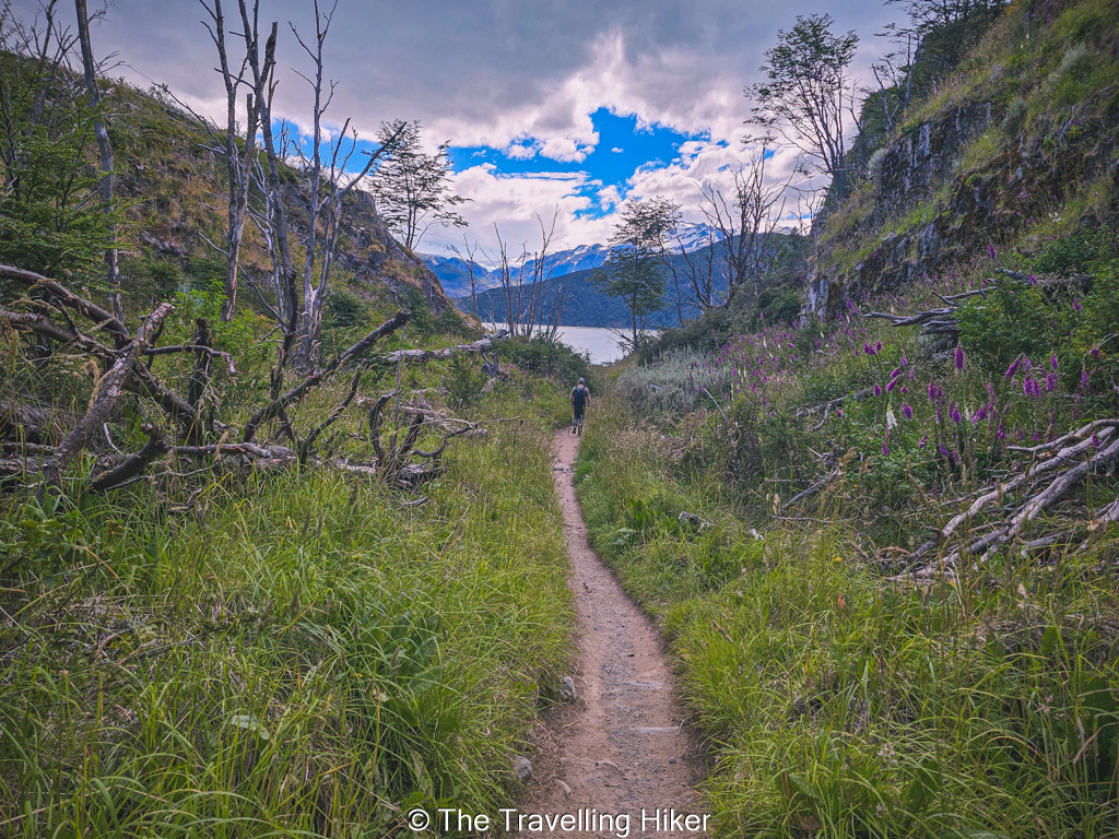 Paine Grande to Refugio Grey Hike